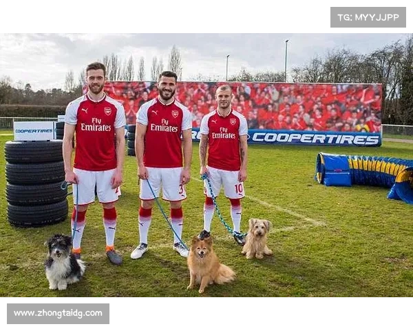 如何实时追踪阿森纳引援进展与最新新闻动态更新