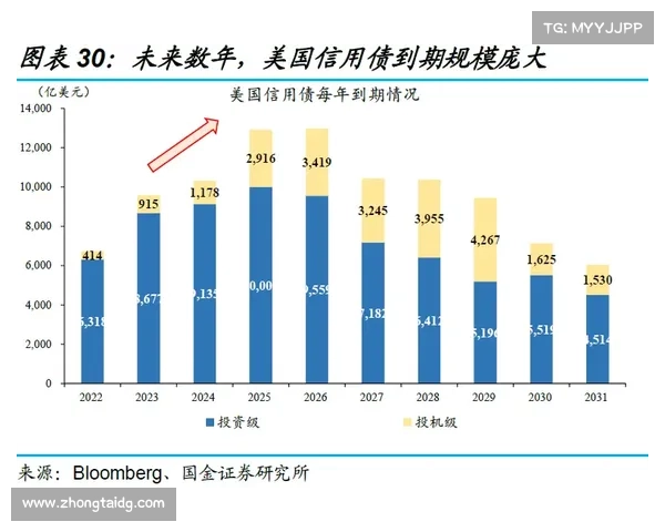 帕利尼亚冬窗愿望解析：五大关键要点你必须了解